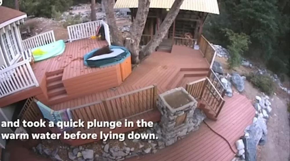 � ���������� ����� ����� � ����� �������� ���� ���� ����������