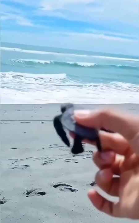 ������ ���: ������ ������� ��������� ��������� � �����