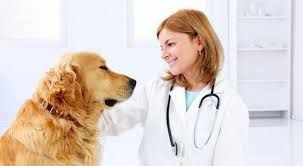 ����������� ������������� � ���������������� ���������� ��������� ���������