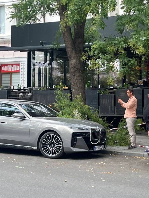 � �������� ����� ����� � ������� ������� ������ ������� ��������