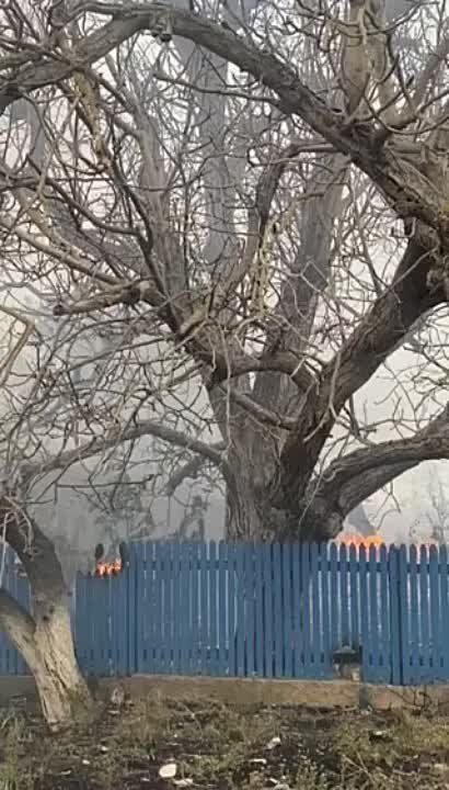 ����� ������ ��������� �����