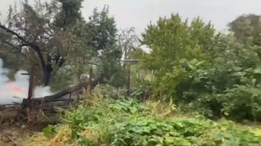 ���� ����� ������ � �����. �������� �������� ������