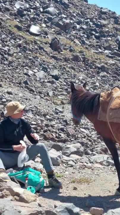 ������������ �� ���������� ���������� ������� �� ���� ������ (������)