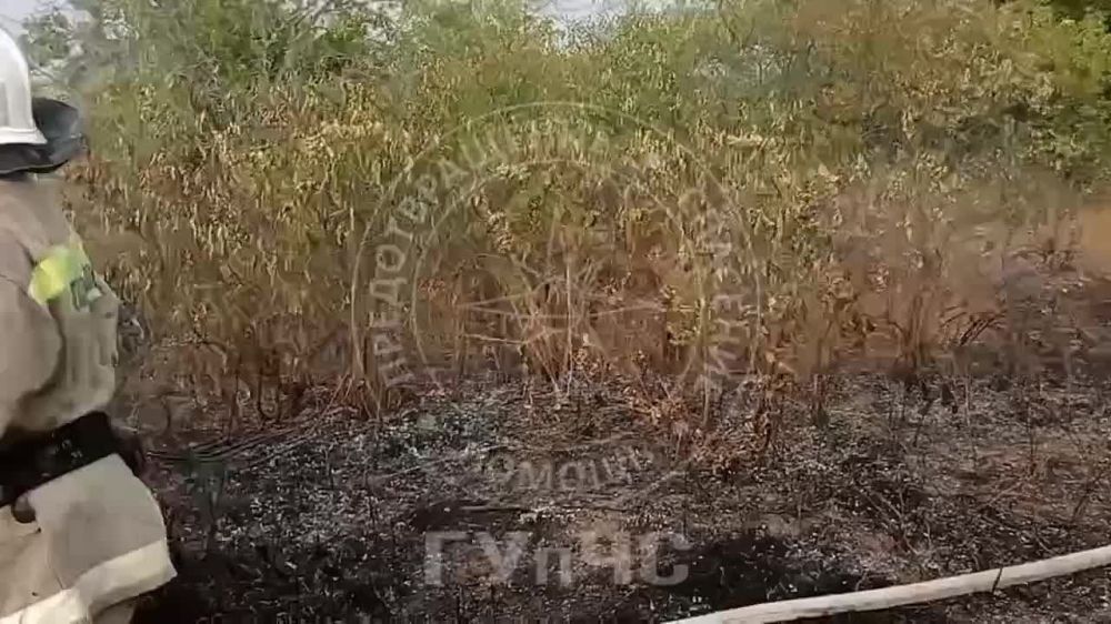 На видео — тушат крупный пожар в Григориопольском районе