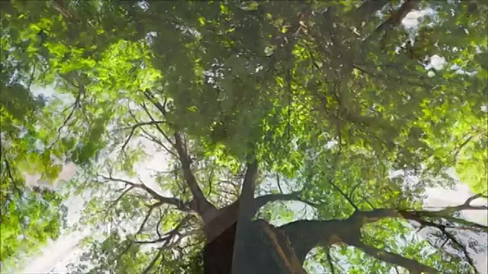 ��������� - �� ���� �� �����������, ��� ����� ��� �������