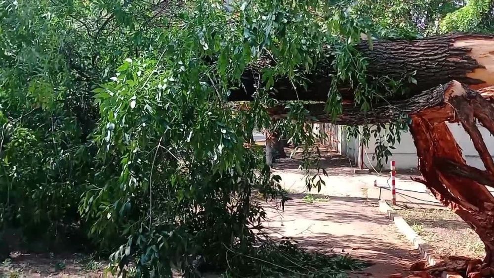 ����� ������� ����� �������� ������ ����� � ������������ ������