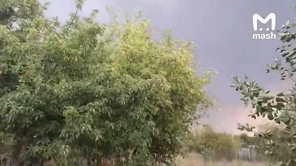 ����� ����������� ��� ��������� � ����������� �������