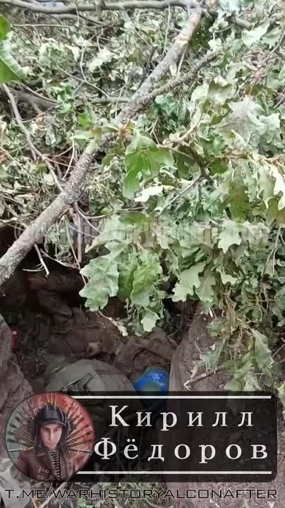 ���������� ��������� ����������� ������� � ������, ��� ������ �������� � ��� ���