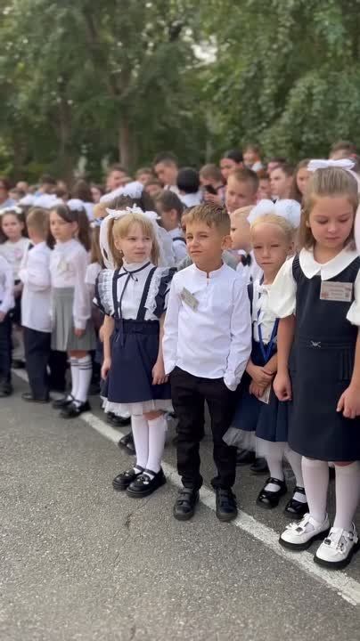 �������� � ���������� ����������� �� �������� ������� � 17 �����, �. ���������