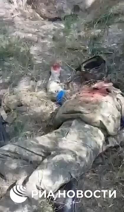 ������� ��������� 810-� ������� ������������� ����� ���������� � ������� ������� ���������� ���