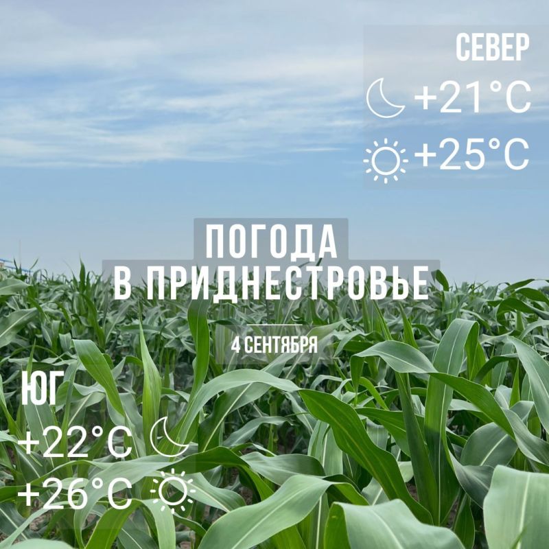 ���� � �� +26��. ������� �����