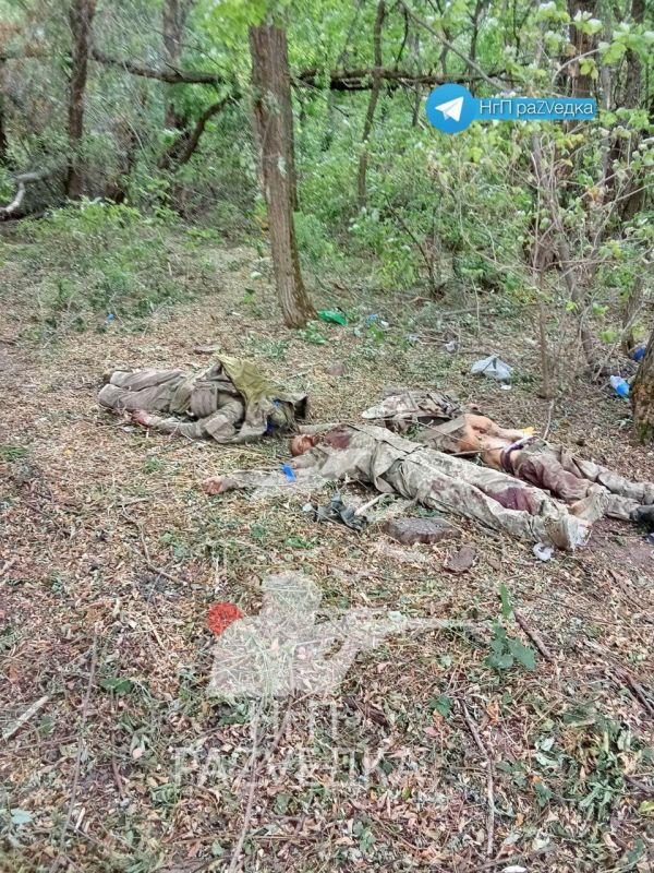 ���������: ������� ��������� ��������� ���������� ������� ���������� ����������, ��� ��� ��� ������������ ����� ���������� ����� �� ����������� �����