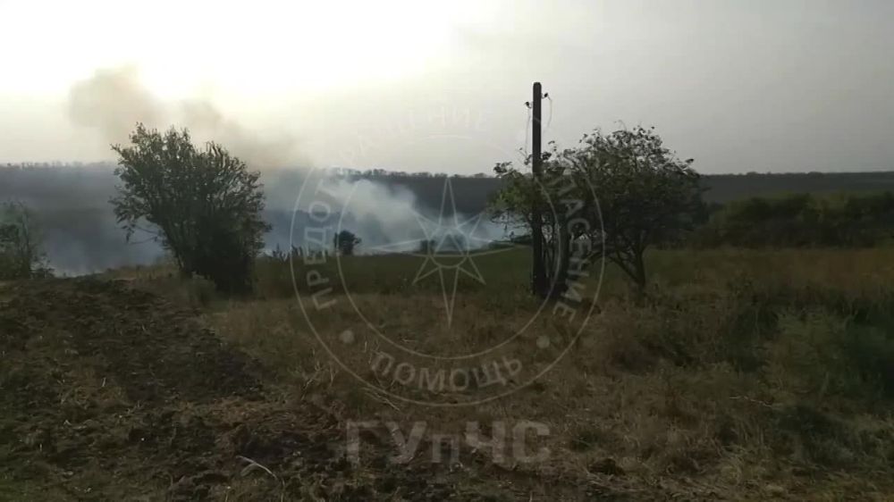 20 �������� �������� ������� � ���� ��������� ���������� ������