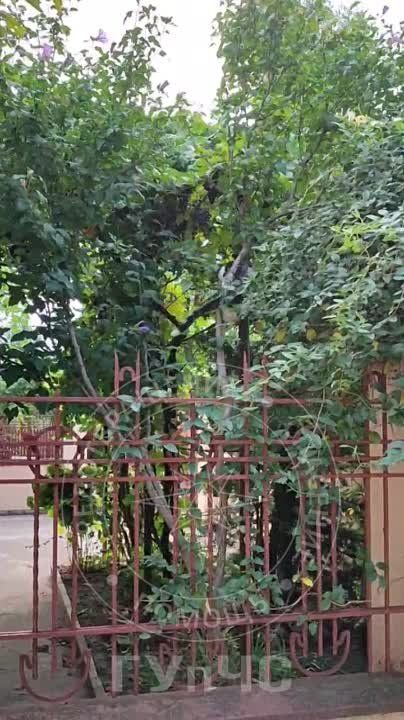 ����� ��������� ����� ����� � ��������