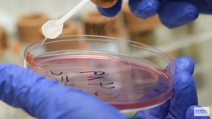 ������������ �� �������� ��������� ������� ���������������