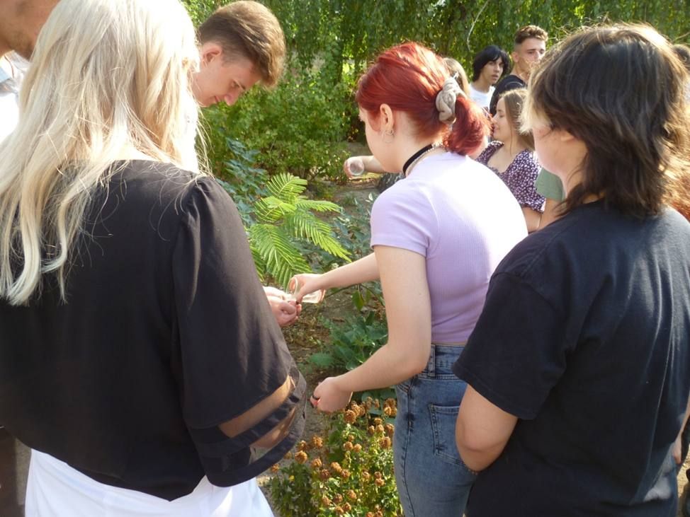 3 �������� � ������������ �������������� ��������� ������ ����� ������ �����, ����������� ��� ������������ � ������ � �����������