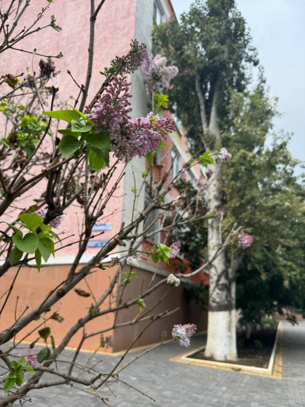 � �������� ����� �������� ������� ������