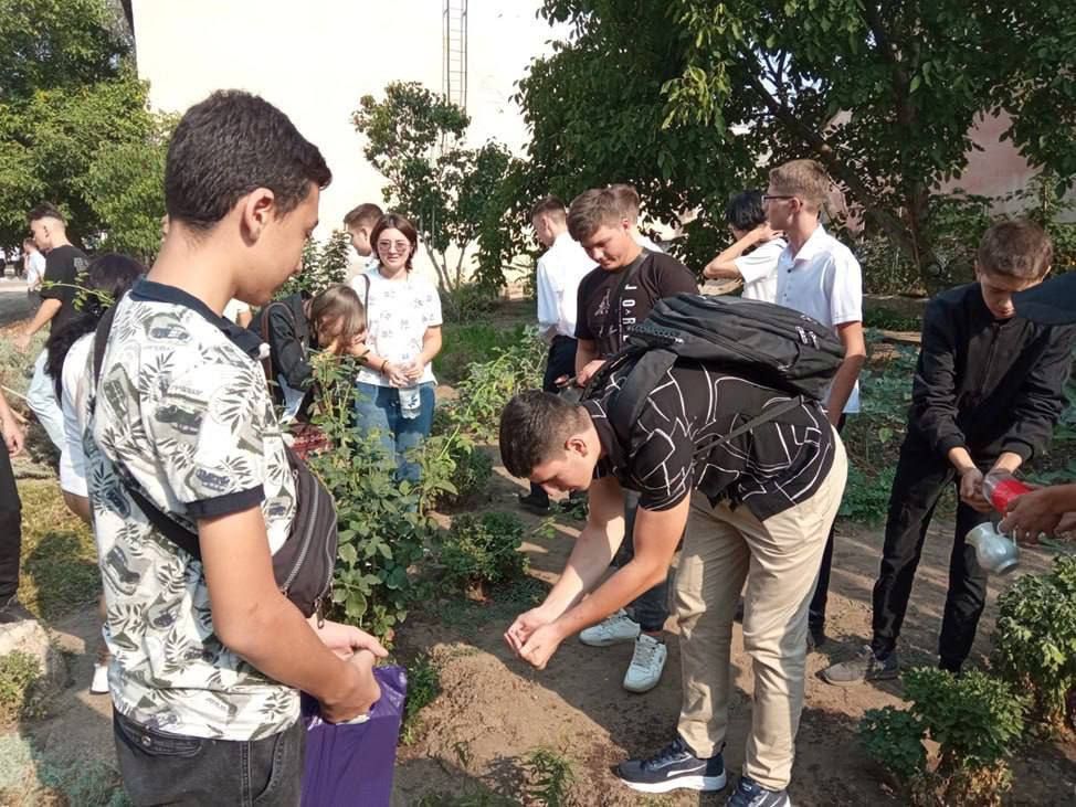 � ������������ �������������� ��������� ������ ����� ������ �����