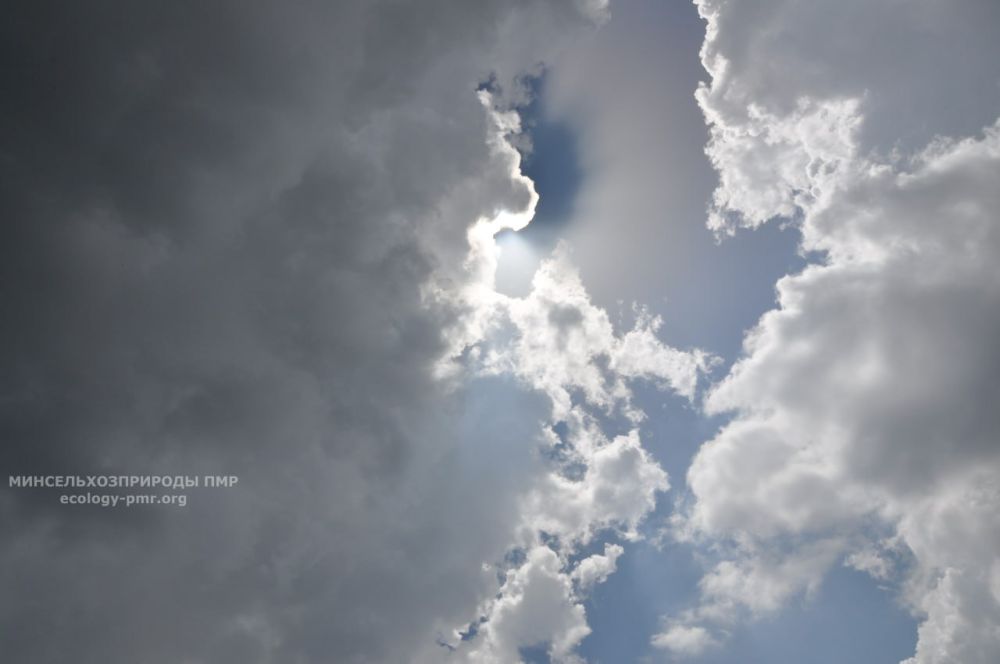 ������� ������ �� �������� ����������� ���������� �� 9 - 15 ��������