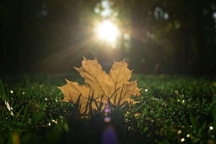 ��� �������� ��������� ����� �� ����� �� � ��, 6 �������� ��������� ���������� ����������, ����� ������� ��������������� �����, ���� ��� �������