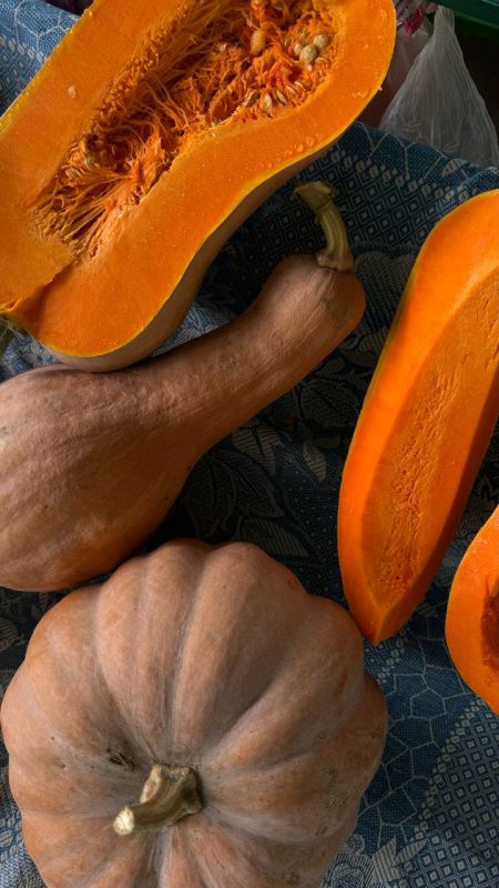 ����� ����� ��� �������. Ÿ ����� ��� ������� � ������� � ���. � ����� ����� ����� � ��� ����� � ���������. ������ ����� ���������, �� 5 ������