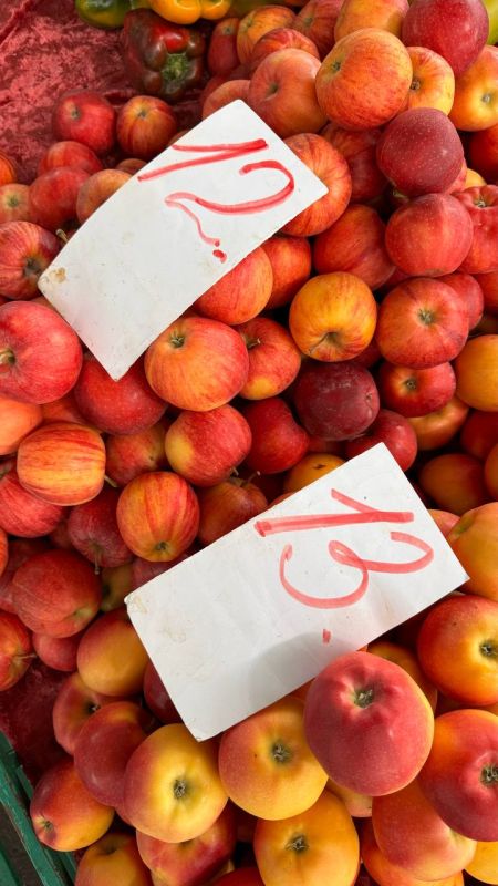 ������ � �������� �� ����� ����� ���