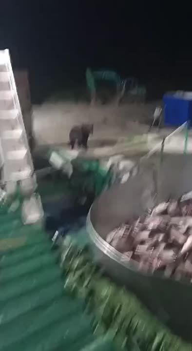 - �� �� �� ��������. - ��� ������� �� ������