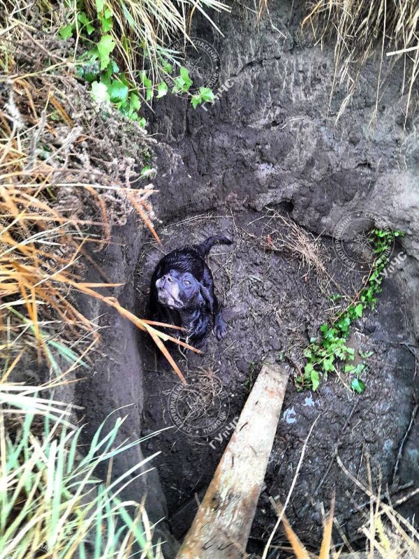 �������� �����. � ���������� ������ ������� ��� � �������� � ����� ��������� ������ � ���. ������ ��� ������ � ������ ����������