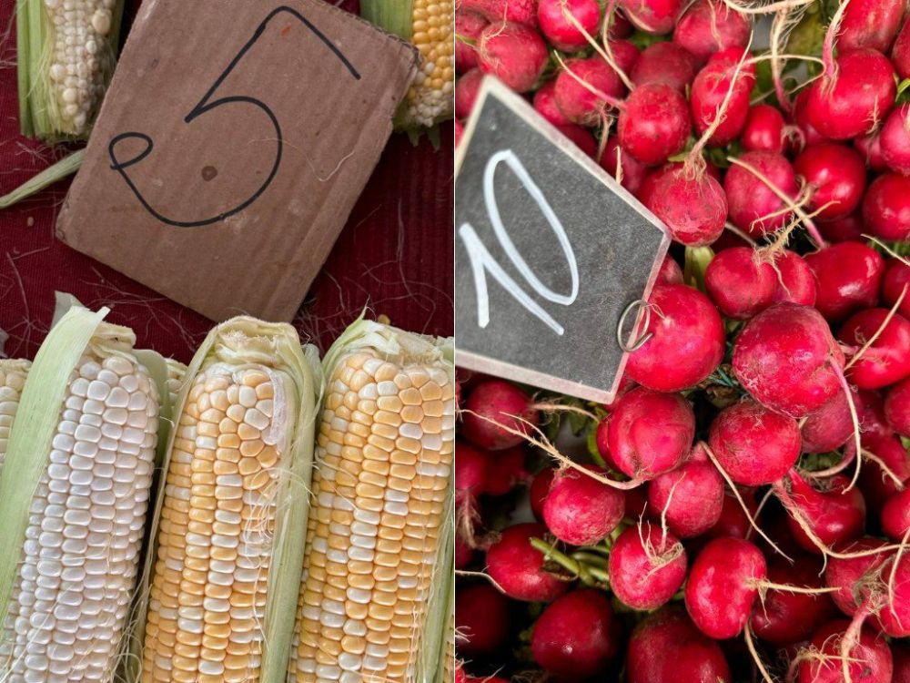 ����� ������� � �������� ������������