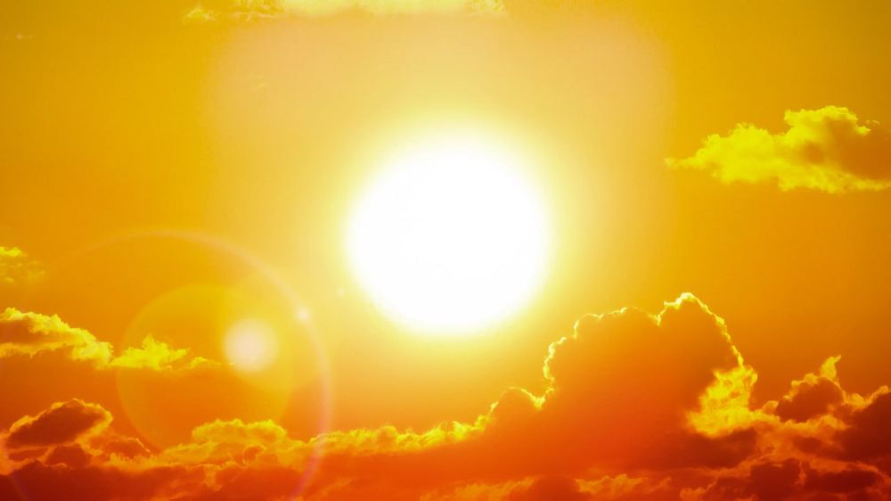 ���� 2024 ���� ����� ����� ������ �� ��� ������� ���������� �� �����