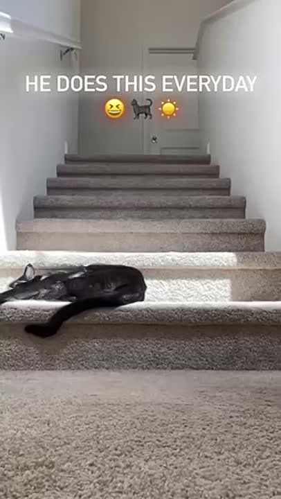 ���������� ��������� �������� �� ��������