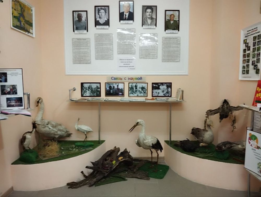 � ����, ��� ������� � ������� ����� �������, �������� ���������� ��������������