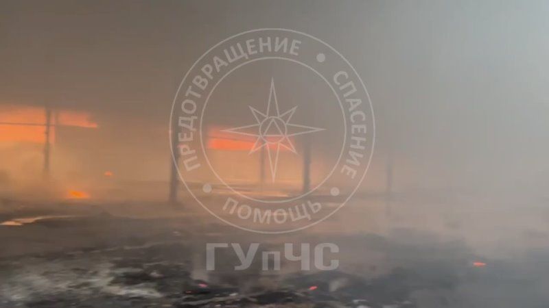 ������� ����� �������� 4000 ���������� ������ ����� ������ ����� ���������� � ��������� ��������� � ��������