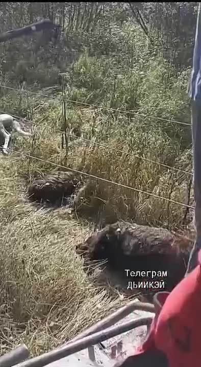 ���� �� ������: ������������ ��� ����������� ����� � ����� ���� ��������