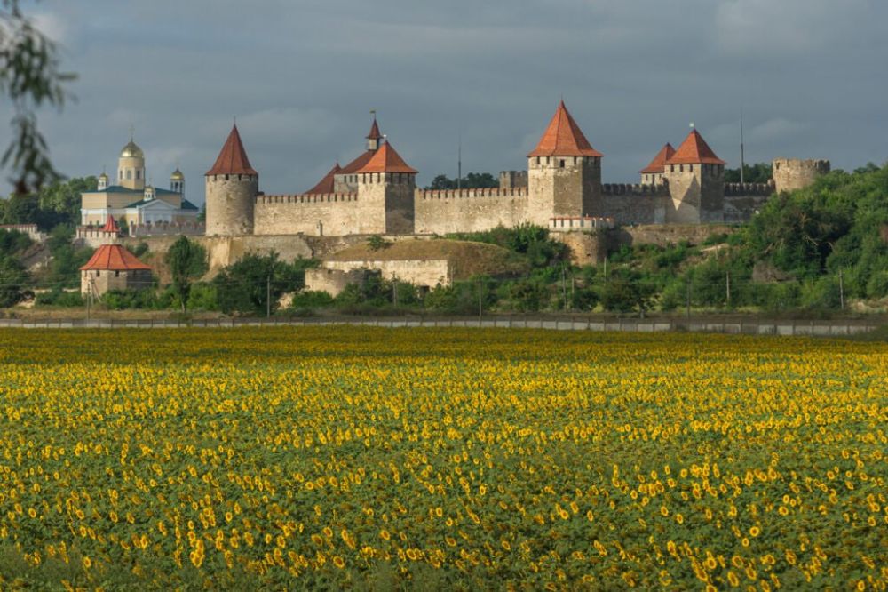 ������� ����� ������ �������� � ���������� ��������