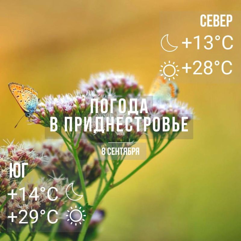 ���� � �� +29��. ��� �������