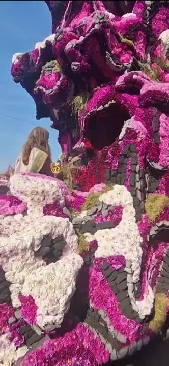 � ��������� ������ ��������� ����� ������ Bloemencorso