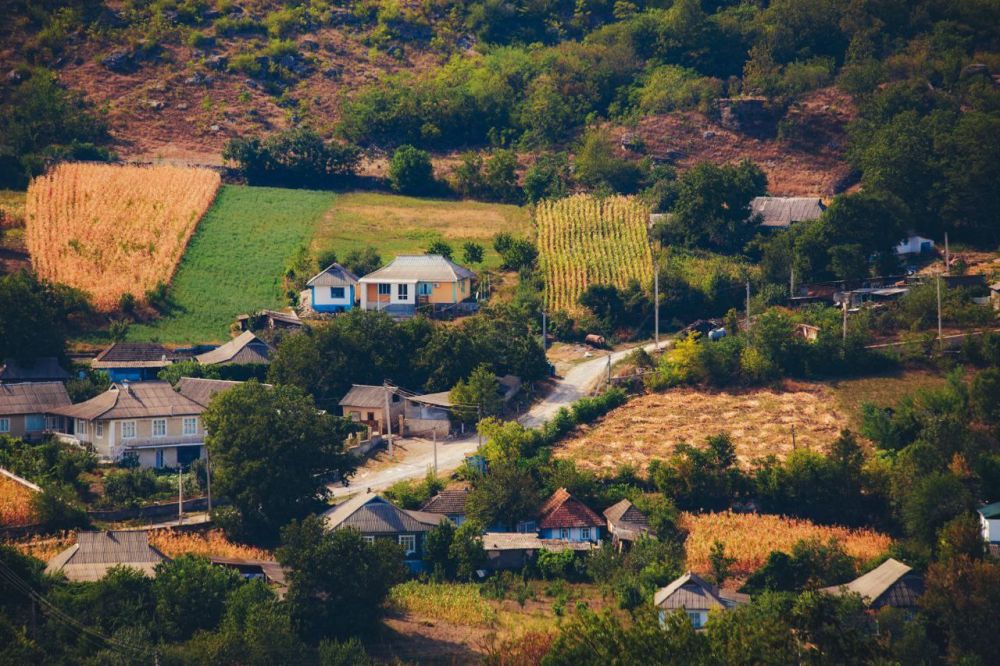 ������������ ���������. ���� ���������