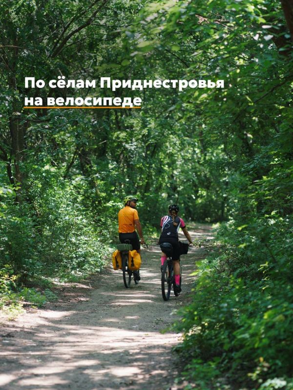 ��������� � ���� �� ������ �������� ������������� � �������� ���������� � �������� �������������