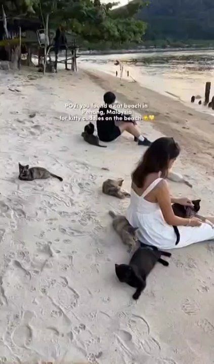 �����������, � �������� ���� ����� ������ ������� ����, �� ������� ����� ��������� � ��������