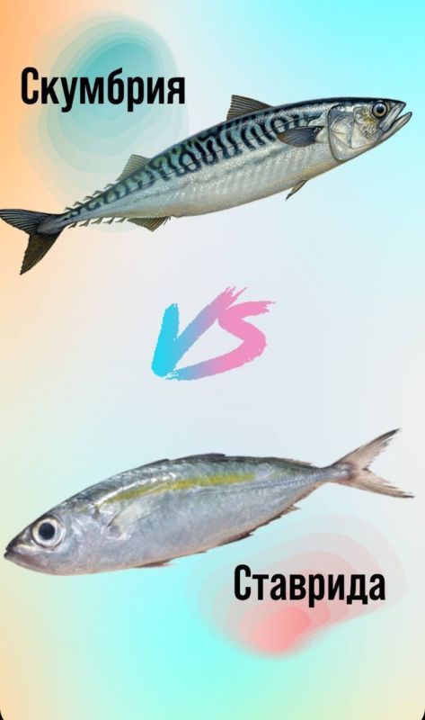 � ��������� ��������� ��� ������ ������������