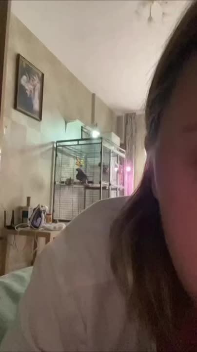 ��������, �������, ������� ��� ������ ����