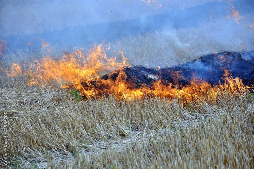 700 ������� ��������� ��������������� ��������� � ��� �� ��������