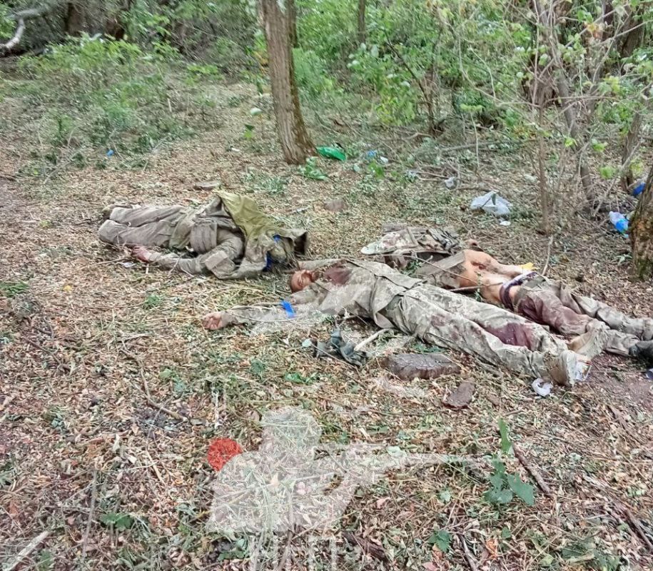 �������� ��� ��� � ������� ������� ����������, � Deep State