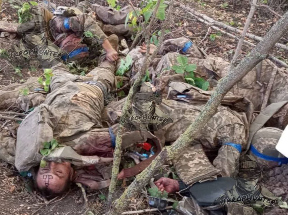 ������� �������.. ������� ��� ������� � ��������� � ����