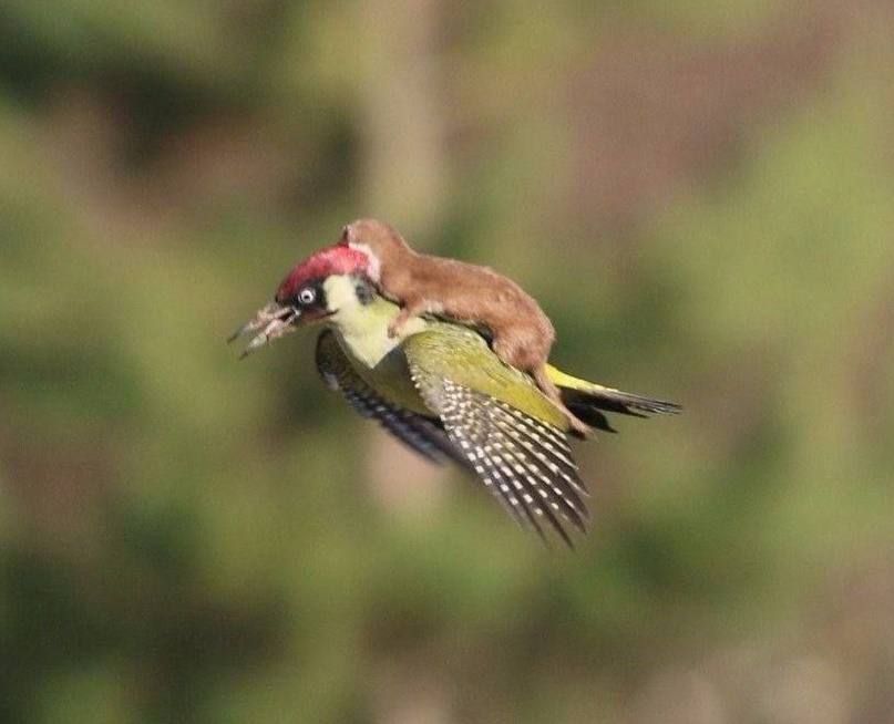 ����� ����� ������ �� ����e � �a����������� �e���� ����