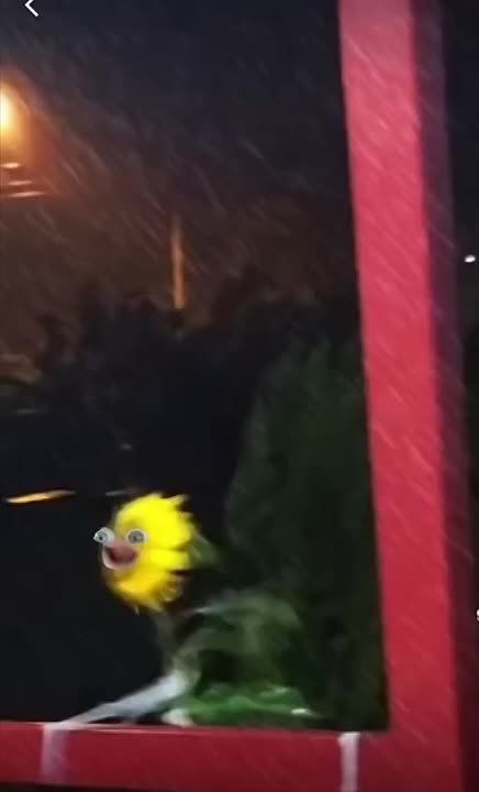 �������� �������������� �� ���������