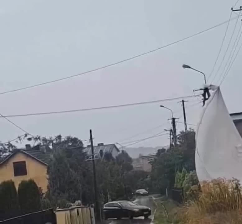 � ������ ����������� ������ ������ �� ����� ������� ������� � ���������