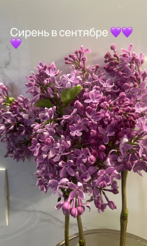 ��������������� ����� - ��� �����, � �������