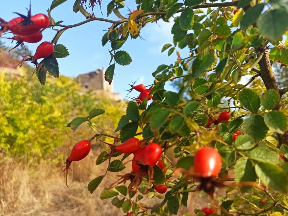 � ������������� ����� ������������� ������������� �������